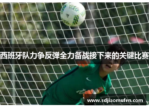 西班牙队力争反弹全力备战接下来的关键比赛