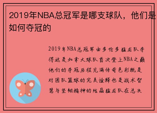 2019年NBA总冠军是哪支球队，他们是如何夺冠的